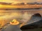 Joc Escape From Sunset Beach on-line