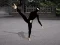 Joc Ninja Academy on-line