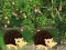 Joc Escape From Mango Farm on-line