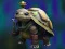 Joc Isolated Turtle Escape on-line