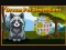 Joc Dream Pet Dimensions on-line