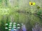 Joc Sunlight Forest Adventure on-line