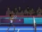 Joc Badminton Brawl on-line