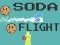 Joc Soda Flight on-line