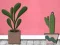 Joc Find Houseplant on-line
