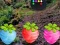 Joc Escape From Fascinated Jungle on-line