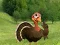 Joc Ready To The Thanksgiving Party on-line