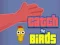 Joc Catch the Birds on-line
