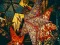 Joc Christmas Stars Jigsaw on-line