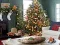 Joc Gingerbread Gala Hunt for 100 Sweet Delights on-line