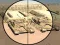 Joc Camo Sniper on-line