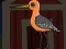 Joc Cute Godwit Escape on-line