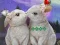 Joc Rescue The Cupid on-line