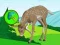Joc The Deer Meadow Escape on-line