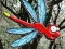 Joc Escape From Dragonfly Forest on-line