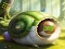 Joc Rescue The Fantasy Snail on-line