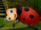 Joc Rescue The Couple Bug on-line