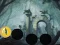 Joc Hungry Devil Forest Escape on-line