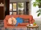 Joc Wakeup The Grandpa on-line