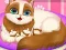 Joc Cute Kitty Pregnant on-line