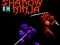 Joc Shadow of the Ninja on-line