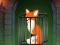 Joc Fox in the Forgotten Ruins on-line