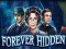 Joc Forever Hidden on-line
