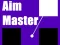 Joc Aim Master on-line