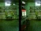 Joc Robot Bar Spot the differences on-line