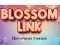 Joc Blossom Link on-line