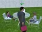 Joc Millionaire Simulator 2024 on-line