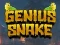 Joc Genius Snake on-line