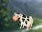 Joc Cow Reach the Shed on-line