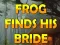 Joc Frog Finds His Bride on-line