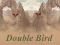 Joc Double Bird on-line