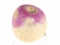 Joc Turnip on-line