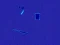 Joc Neon Chef on-line