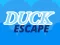 Joc Duck Escape on-line