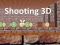 Joc Shooting 3D on-line