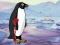 Joc Heal the Wounded Penguin on-line