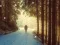Joc Winter Hidden Stars on-line