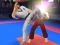 Joc Karate Fighter on-line