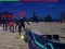 Joc Zombie Survivor on-line