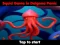 Joc Squid Game In Dalgona Panic on-line