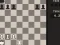 Joc Fun Chess Puzzles! on-line