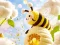 Joc Find The Differences: Little Bee's Adventure on-line