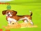 Joc Bunny Key Quest on-line