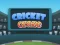 Joc Cricket Craze on-line