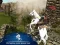 Joc Ertugrul Gazi Horse Sim on-line