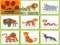 Joc Wild Animals Kids Memory game on-line